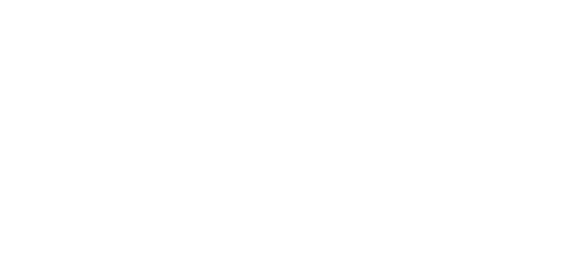 IMS Logo